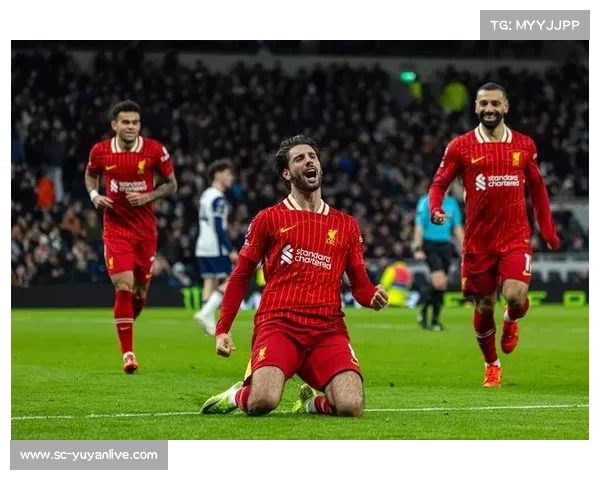 利物浦足球俱乐部官方旗舰店，体验经典与现代的完美融合